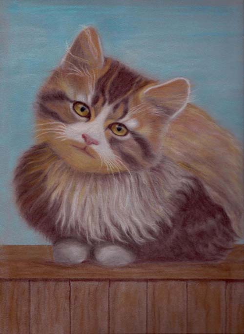 pastel cat 1.jpg