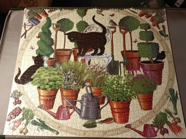 cat puzzle.jpg