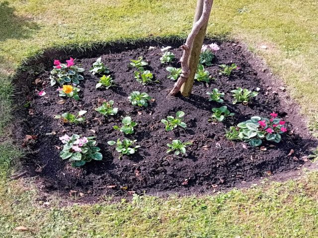 garden.jpg