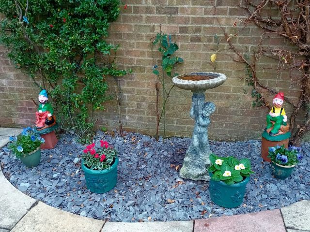 garden.jpg